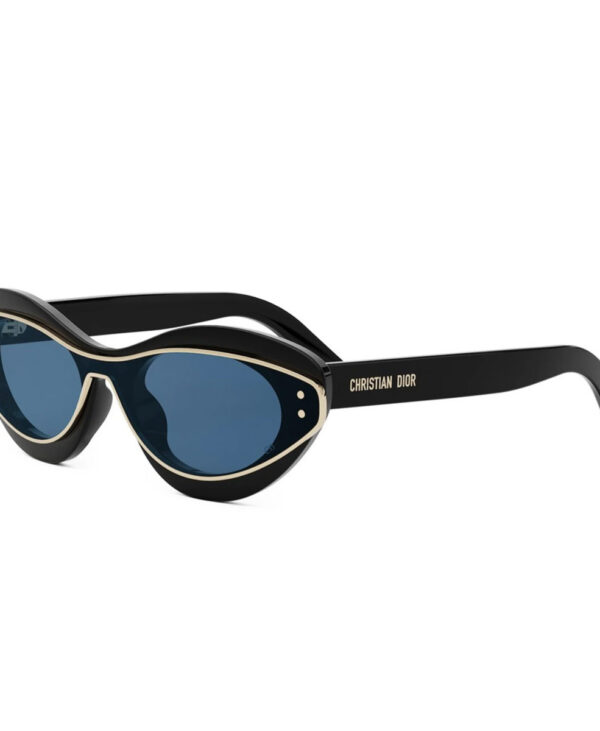 dior B1I