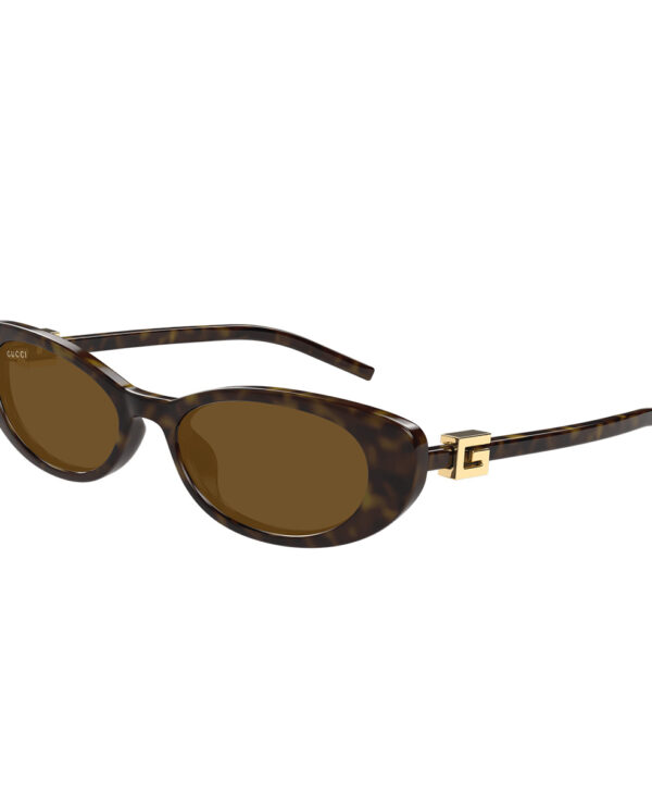 GG1680S 004