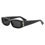 Dior Graphique S1l